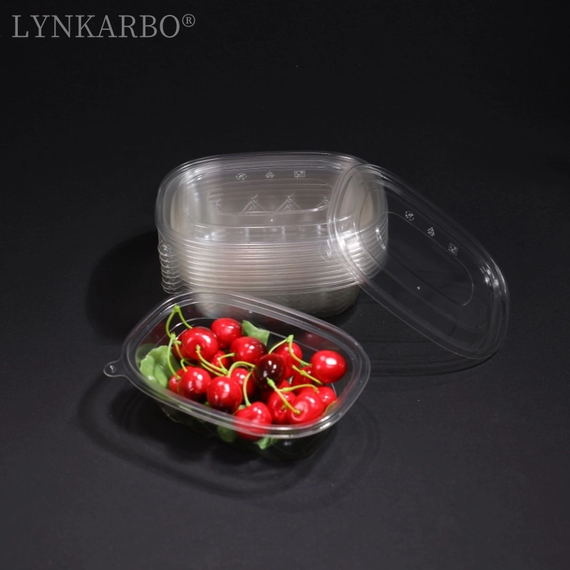 Pla Rectangular Cold Food Container